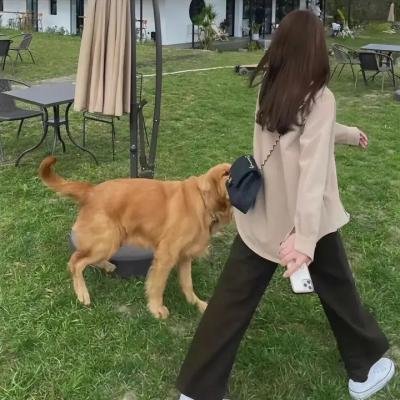 维奥莱特·诺齐埃尔